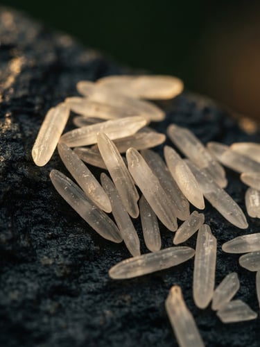 Extreme macro close-up of raw, extra-long Basmati rice grains resting on dark textured stone, dramatic side-lighting catching the translucent texture
