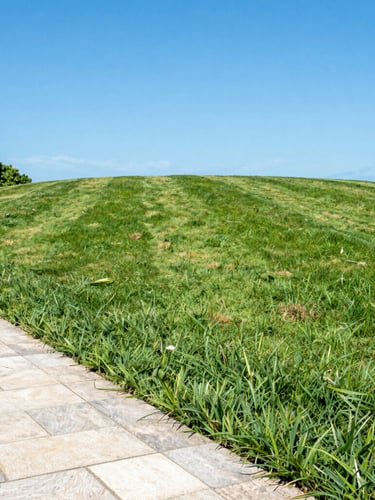 Lush, freshly mowed green lawn of a beach house in Imbituba against a bright blue sky, clean stone pathway on the side without any weeds
