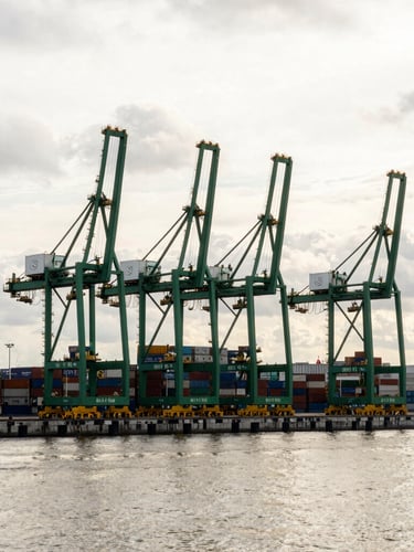 Wide-angle architectural shot of the Rotterdam port under overcast European daylight, massive container cranes in deep green tones, water reflecting soft silver sky.