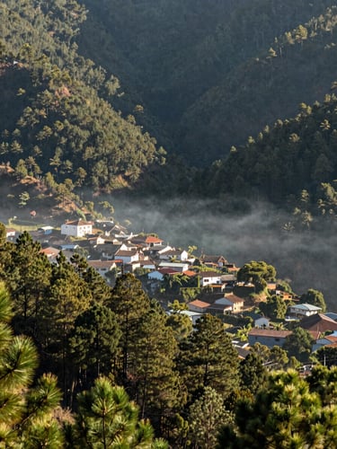 Wide view from a hillside in the Sierra Norte of Oaxaca, pine forest descending into a valley where small buildings cluster, natural morning light, mist in the lower trees, no people visible, honest documentary framing