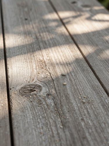 Close-up of weathered gray teak wood grain and matte stone texture under soft dappled garden light, 35mm