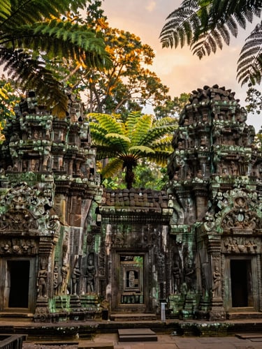 Wide panoramic shot of ancient Sri Lankan stone carvings integrated into a lush Queensland rainforest canopy, golden twilight light filtering through ferns.