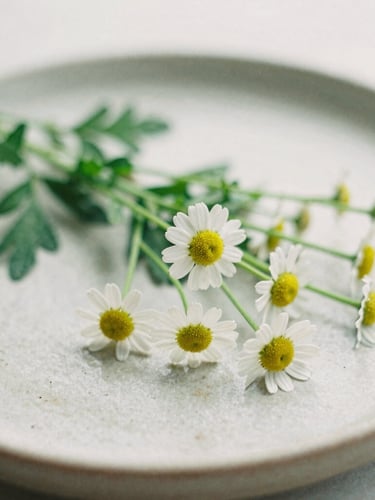 Macro shot of raw chamomile flowers and green leaves on a textured ceramic plate, soft diffused overcast daylight, muted earth tones, shallow depth of field, 35mm film photography