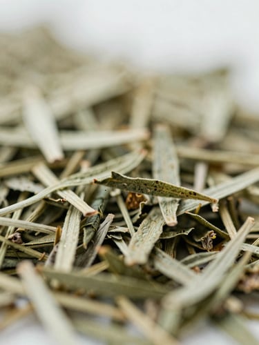 Macro shot of raw dried herbal chamomile leaves, soft diffused overcast morning light, shallow depth of field, 35mm
