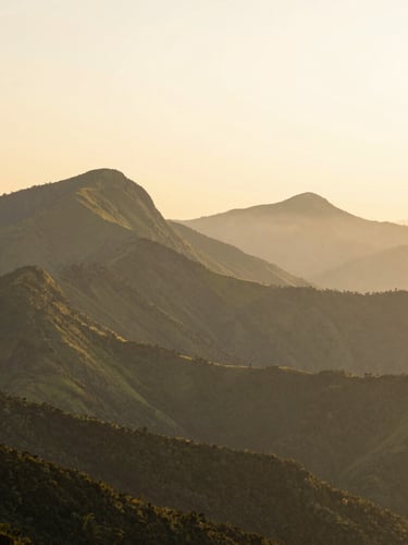 Panoramic view of misty green mountains of Minas Gerais at sunrise, soft golden light on the peaks