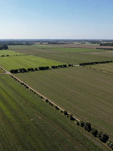 Expansive drone photography of clean-cut land plots with clear boundaries and green vegetation under bright, clear daylight.