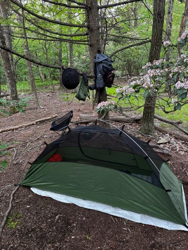 Sponge's trust 1-man tent is pictured, along with some of his hanging gear.