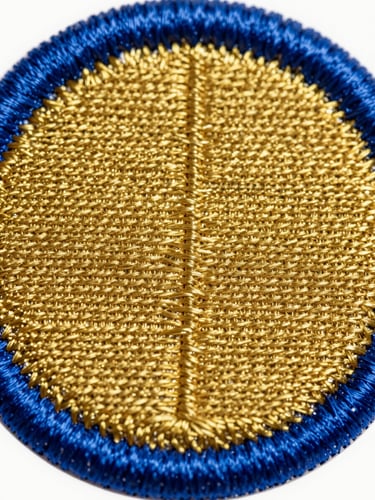 Macro close-up of a circular custom embroidered patch with dense gold thread and a thick royal blue merrowed border, bright studio light showcasing the thread texture.