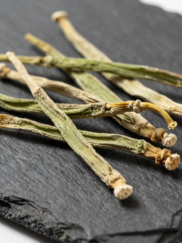 Macro details of dried organic Ashwagandha roots on a clean, dark slate surface, bright natural daylight, sharp focus on botanical textures, 35mm
