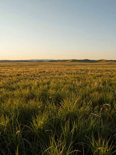 Wide-angle environmental shot of a sweeping Idaho prairie at golden hour, low horizon, native grasses catching warm side-light, 35mm photography