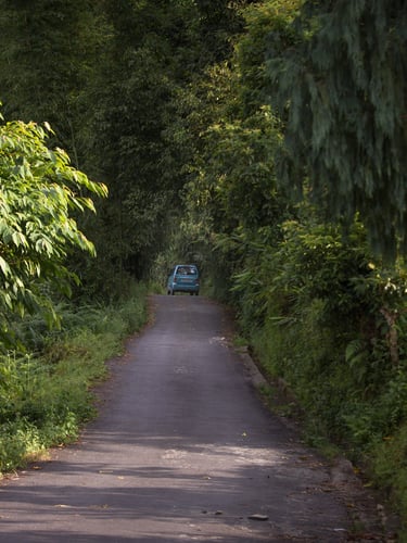 Country road to Kashyong