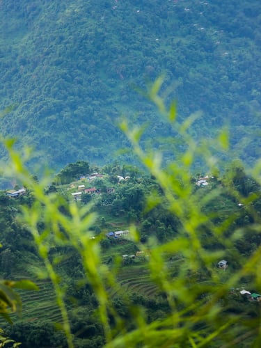Kashyong village view from crosshill