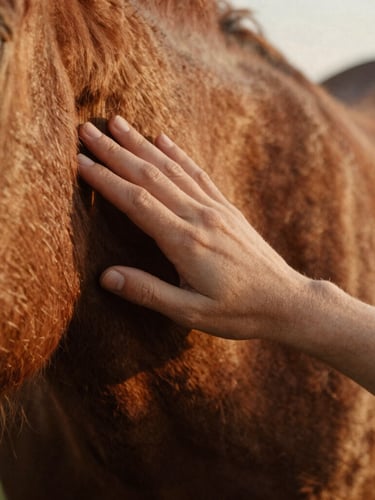 Close-up detail of a human hand gently resting on a horse's neck, warm golden-hour light, shallow depth of field, 35mm film feel, focus on the texture of the horse's coat