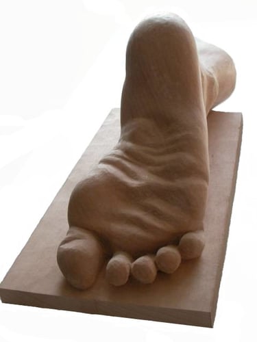 Foot in lime wood by Sarah Liptrot