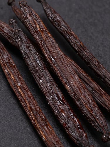 Macro photograph of cured Indonesian vanilla planifolia beans, oily dark brown texture, subtle side lighting highlighting crystalline vanillin frosting, dark background.