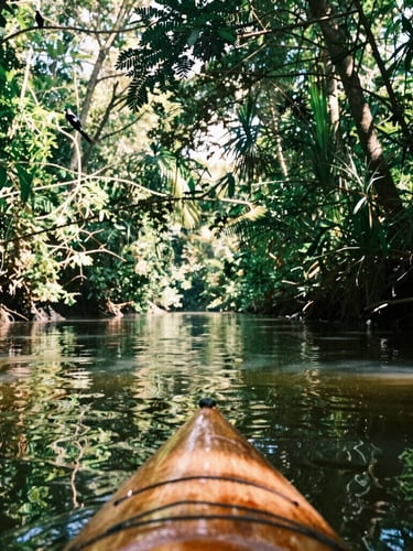 A wooden kayak gliding through the calm, narrow waters of Río Istián, green canopy reflecting on the water, exotic birds in the branches, warm 35mm photography.