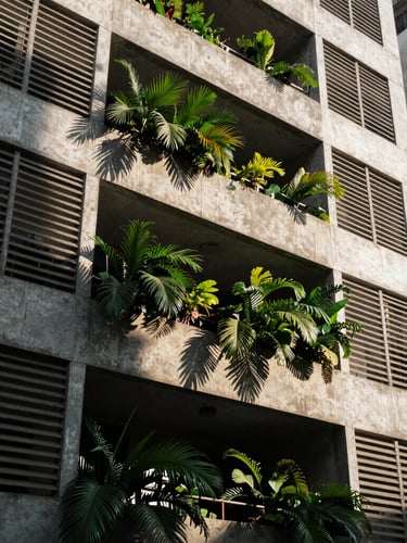 Wide-angle architectural elevation of a Dhaka residential building, raw concrete louvers casting deep geometric shadows, lush tropical greenery spilling from a recessed balcony, natural afternoon light.