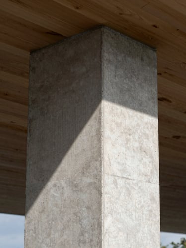 Vertical portrait of a raw concrete column meeting a timber ceiling, extreme close-up of the material joint, hard geometric shadow cutting diagonally, natural overcast daylight, high-contrast