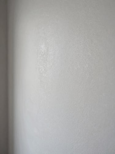Extreme close-up of a freshly plastered interior wall surface, raking north-facing daylight from the left edge revealing the smooth, uninterrupted plane of fine plaster — no imperfections, no tool marks, only the material itself in cool natural light