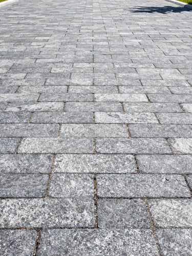 Low-angle architectural shot of a perfectly leveled slate gray paver driveway in Sarasota, bright midday Florida sun, sharp focus on interlocking joints.