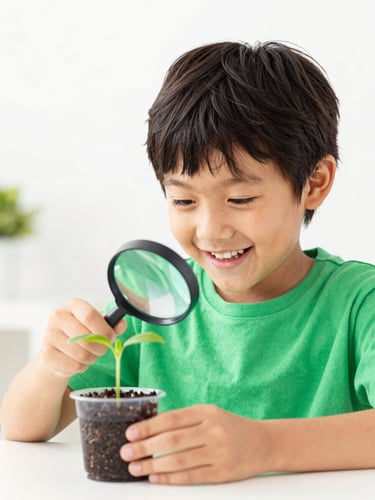 A smiling child looking through a magnifying glass at a small green plant sprout in a cup, bright natural daylight, cheerful educational setting.