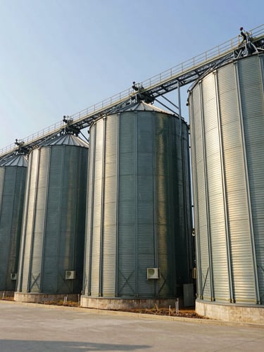 Wide-angle architectural shot of massive modern agricultural silos under bright daylight, clean industrial lines, steel structures reflecting golden sunlight.