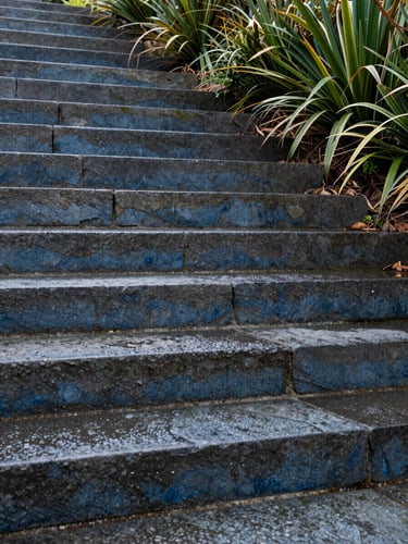 Low-angle architectural crop of wet quarried bluestone steps meeting native groundcover under overcast Melbourne daylight.