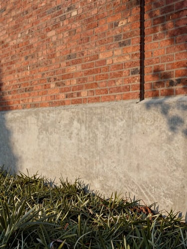 Low-angle architectural detail of raw off-form concrete retaining wall meeting 19th-century red brickwork, muted olive groundcover spilling over the edge, soft late-afternoon shadows.