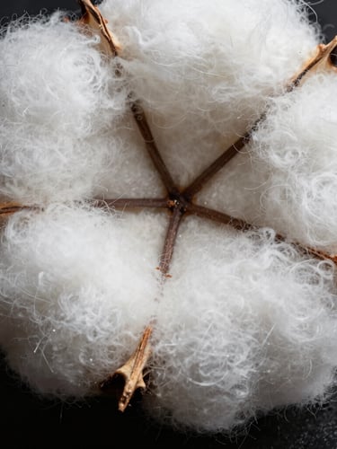 Extreme macro shot of raw cotton fibers showing tight technical weave, high-contrast studio overhead lighting, architectural texture.