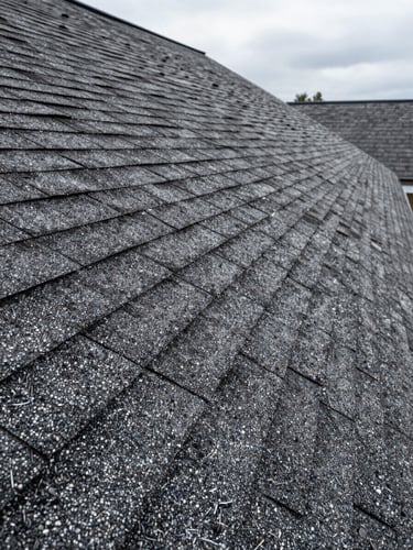 Close-up wide shot of aged asphalt shingles showing granule loss and wear patterns on a Midwest home roofline, right edge bleeding to canvas, overcast natural daylight, no humans, shallow depth showing texture detail in foreground
