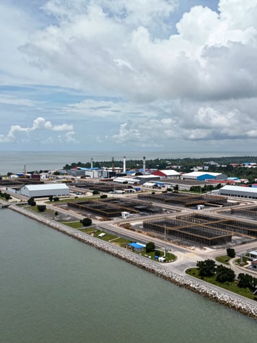 Wide panoramic aerial view of the Tanjung Agas coastal industrial site in Pekan, Pahang, overcast daylight, heavy infrastructure foundations visible against the shoreline.