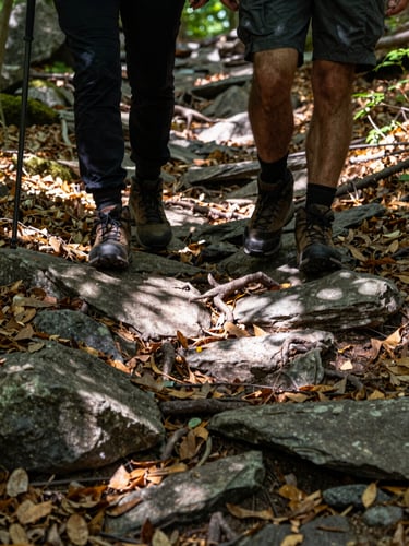 Close documentary shot of two hikers' boots stepping onto a rocky forest path at mid-morning, dappled light through beech canopy, fallen leaves and exposed root visible, off-center framing showing the trail continuing ahead