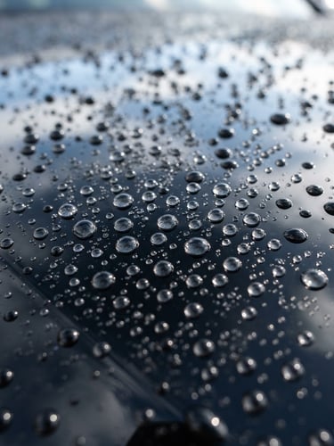 Close-up of water beading perfectly on a freshly waxed black car hood, bright natural daylight, crisp focus