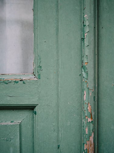 Close-up portrait of peeling green paint on a weathered wooden door, soft overcast daylight, high contrast, fine textures, cinematic 35mm film grain, muted tones.