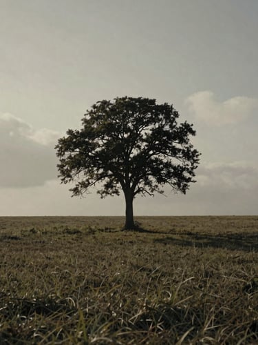 A solitary tree standing in an expansive, overcast field, dramatic side-shadows, muted desaturated olive and brown tones, cinematic film look