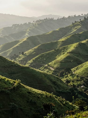 Wide environmental portrait of misty green hills in Munnar at soft morning light, empty landscape, quiet luxury travel aesthetic