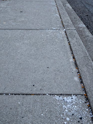 Street-level close-up of a freshly treated commercial sidewalk on the Rive-Sud, salt crystals and abrasive grit clearly visible on cleared concrete under flat grey winter sky, no people, texture and scale emphasized