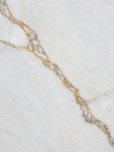 Extreme close-up of Calacatta marble slab surface, north-facing daylight raking across the veining to reveal gold and grey mineral threads running diagonally through white stone, no people, no objects, full frame filled with raw slab texture