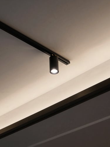 Low-angle architectural photograph of a monolithic plaster cove ceiling, warm integrated lighting casting soft shadows on crisp white plaster, 35mm