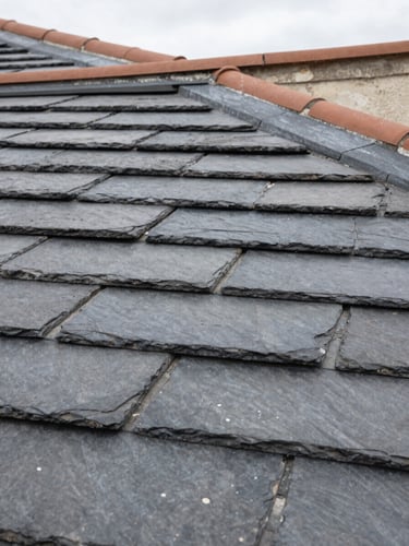 Close-up of neatly aligned slate tiles on a Parisian roof under overcast daylight, high contrast, sharp details of natural stone texture.