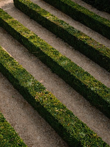 Close-up overhead of precise garden hedge lines and gravel pathway on a Provençal estate, even morning light, deep greens and warm stone, no people
