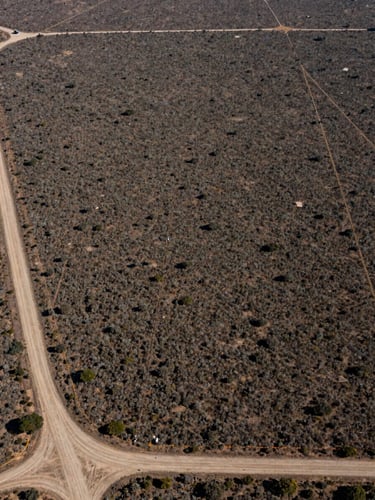 Wide aerial view looking straight down at a large undeveloped land parcel, natural daylight from directly above, lot boundary markers visible at corners, a dirt access road entering from the lower-left edge, dry scrubland vegetation texture filling the interior, neighboring parcels with survey lines visible at the frame edges, no people, no structures, forensic documentary framing