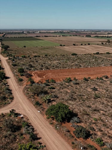 Wide aerial ground-level view of a southern Mexican terrain parcel at midday, shot from a low drone angle looking across the expanse — visible lot boundary markers at the far edge, a dirt access road cutting diagonally into the frame from the lower left, scrub vegetation and reddish-brown clay soil in the foreground, neighboring agricultural parcels visible in the distance, flat horizon, no people, no structures