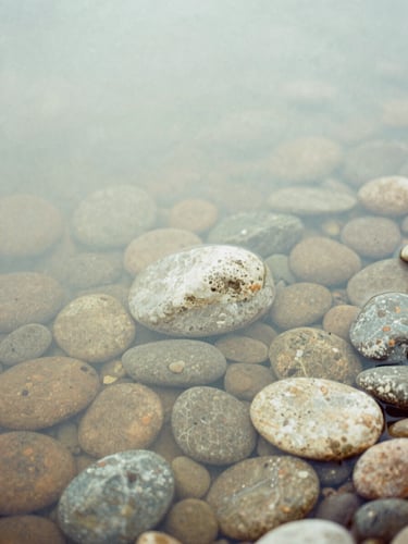 Soft close-up of smooth river stones under clear shallow water, foggy daylight, muted sage tones, 35mm film
