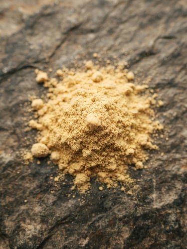 Macro overhead shot of fine golden organic protein powder on a textured stone surface, warm diffused golden-hour window light, shallow depth of field