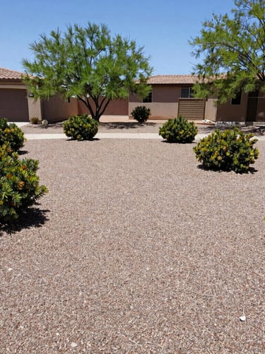 Wide-angle outdoor shot of a perfectly cleared Albuquerque residential yard with clean gravel and trimmed desert bushes under bright New Mexico sun