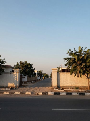 Ground-level photograph at the entrance of a wide-frontage residential plot in Mohali — 40-ft road visible in foreground, plot boundary wall under construction on the right, golden-hour side light, clear sky, no people, no CGI