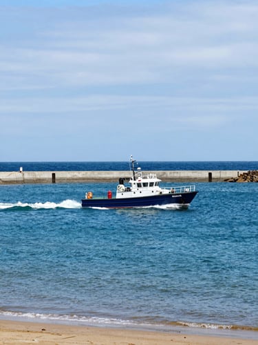 A safety boat patrolling near the entrance of a wide natural harbour, coastal navy water, overcast maritime sky, wide angle