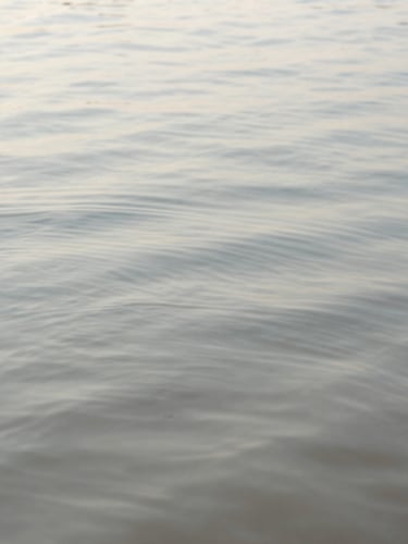 A serene view of gentle ripples expanding on a calm water surface, soft natural daylight, muted slate and sand tones, shallow depth of field