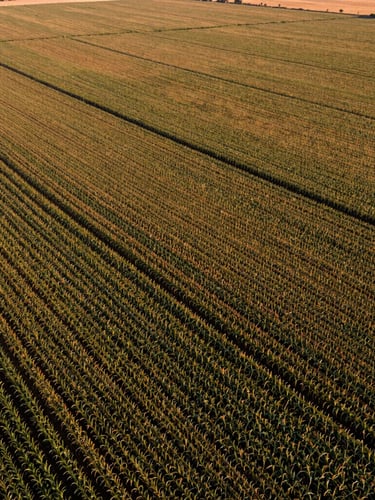 High-altitude aerial view of vast, meticulously managed agricultural fields in Brazil, showing patterns of soy and corn crops, under clear daylight, warm editorial photography.
